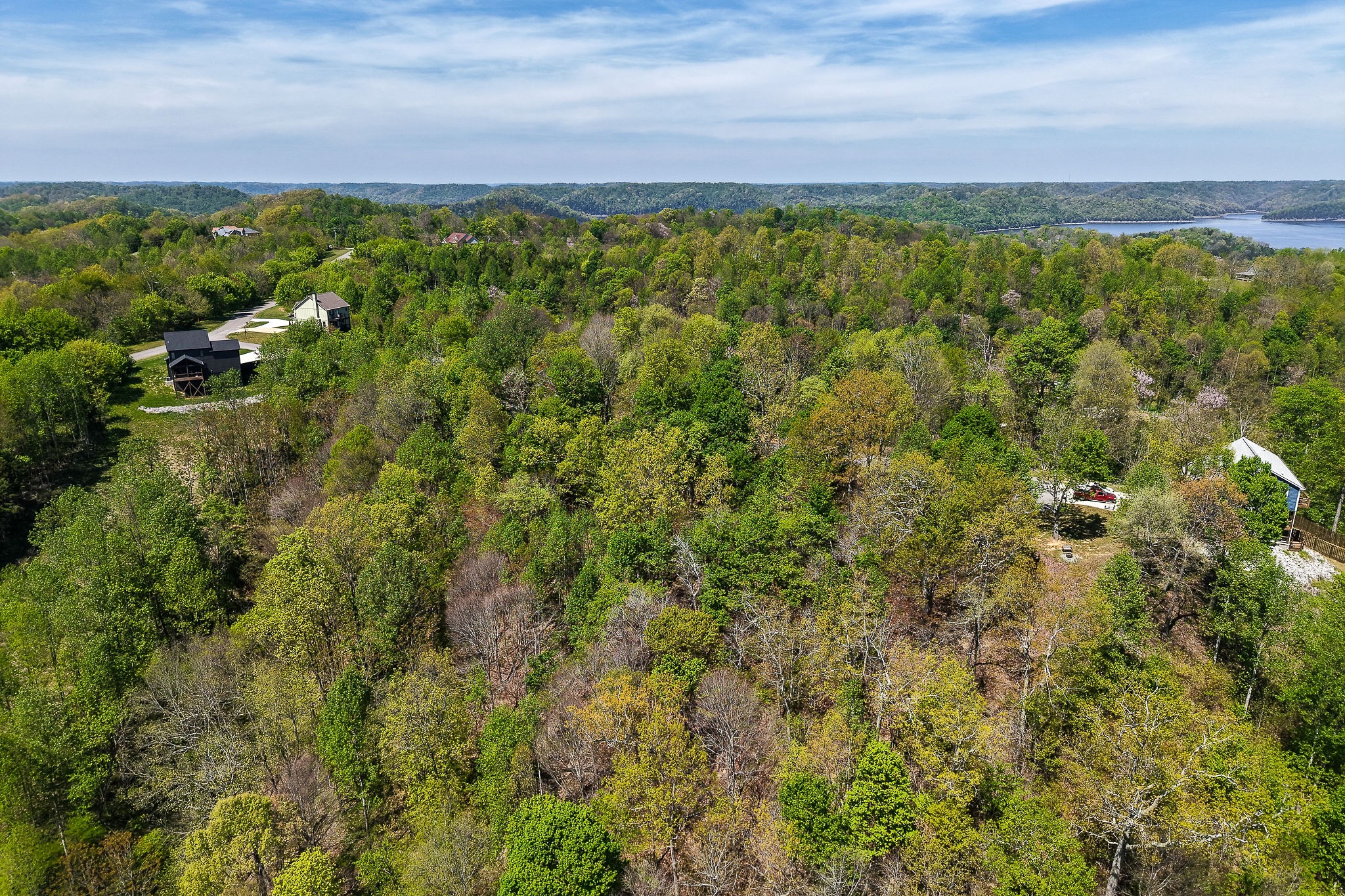 0 Coventry Way Smithville TN 37166