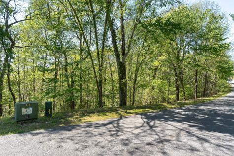 0 Coventry Way Smithville TN 37166