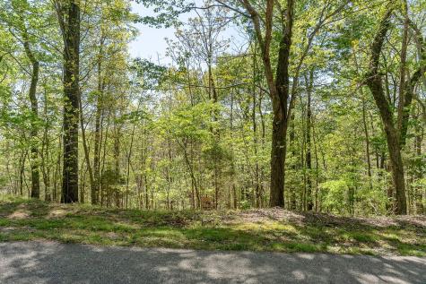 0 Coventry Way Smithville TN 37166