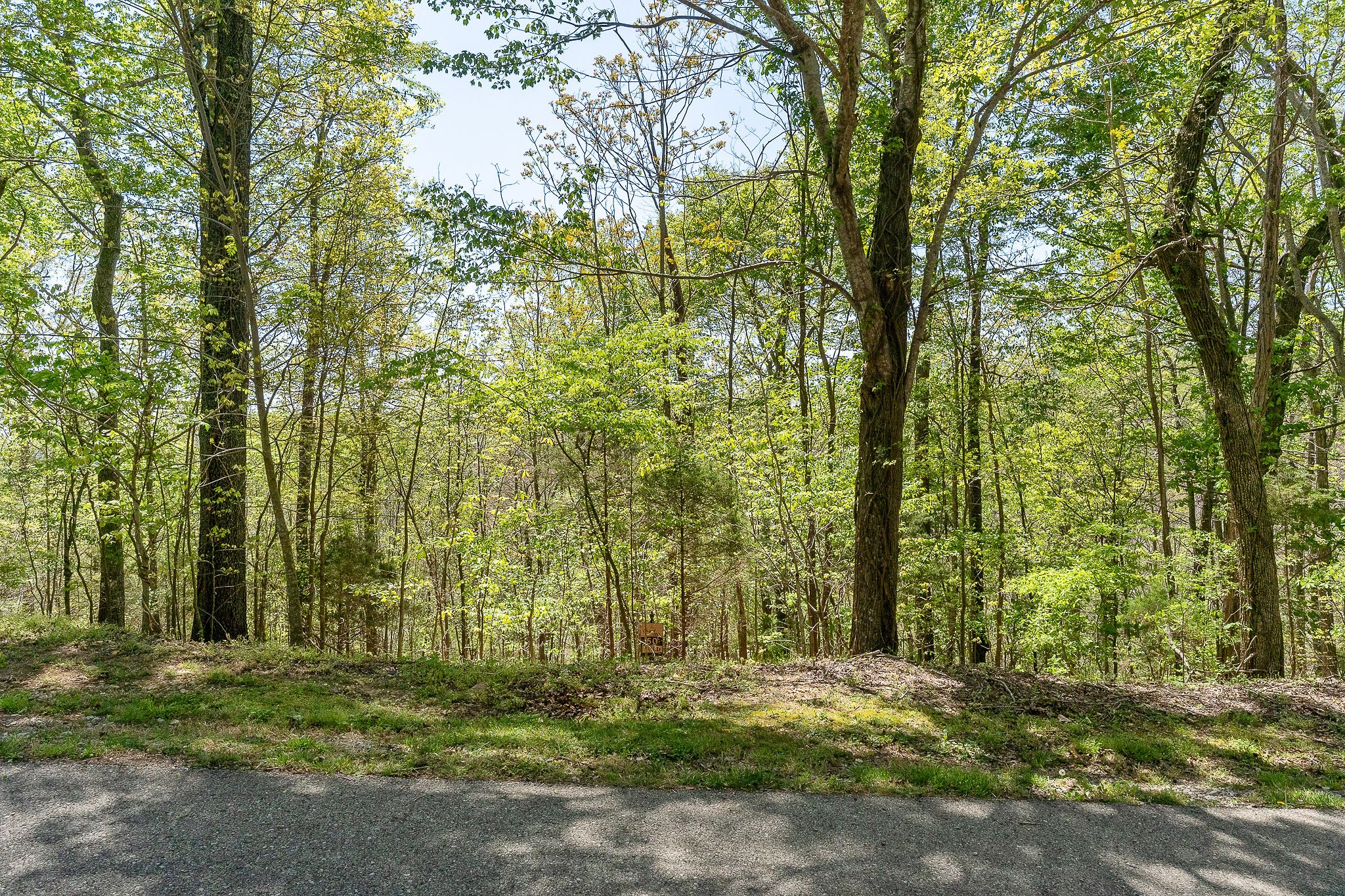 0 Coventry Way Smithville TN 37166