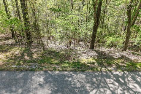 0 Coventry Way Smithville TN 37166