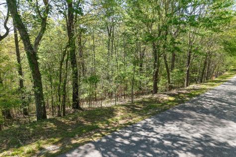 0 Coventry Way Smithville TN 37166