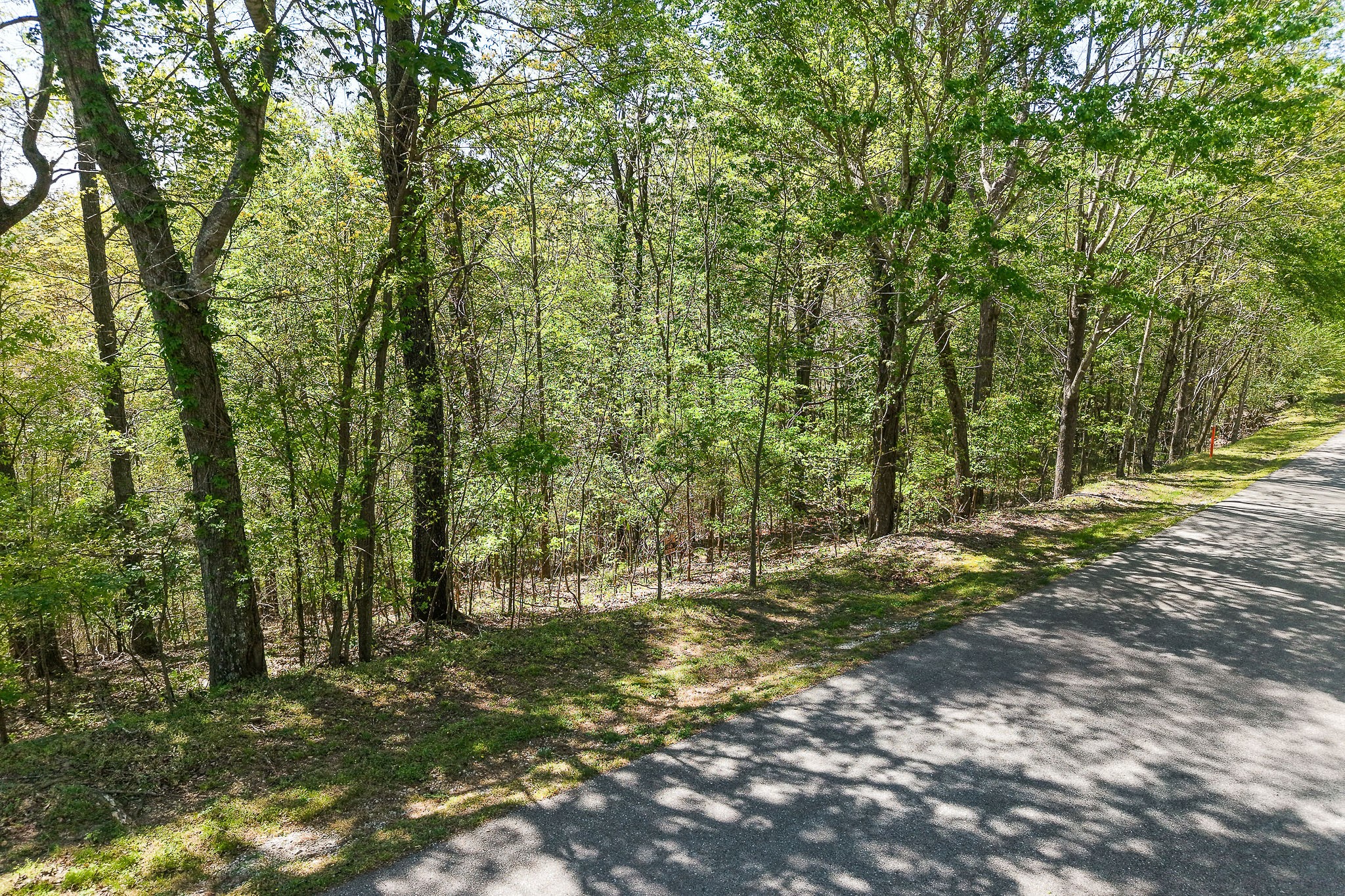 0 Coventry Way Smithville TN 37166