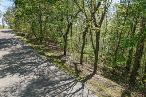 0 Coventry Way Smithville TN 37166