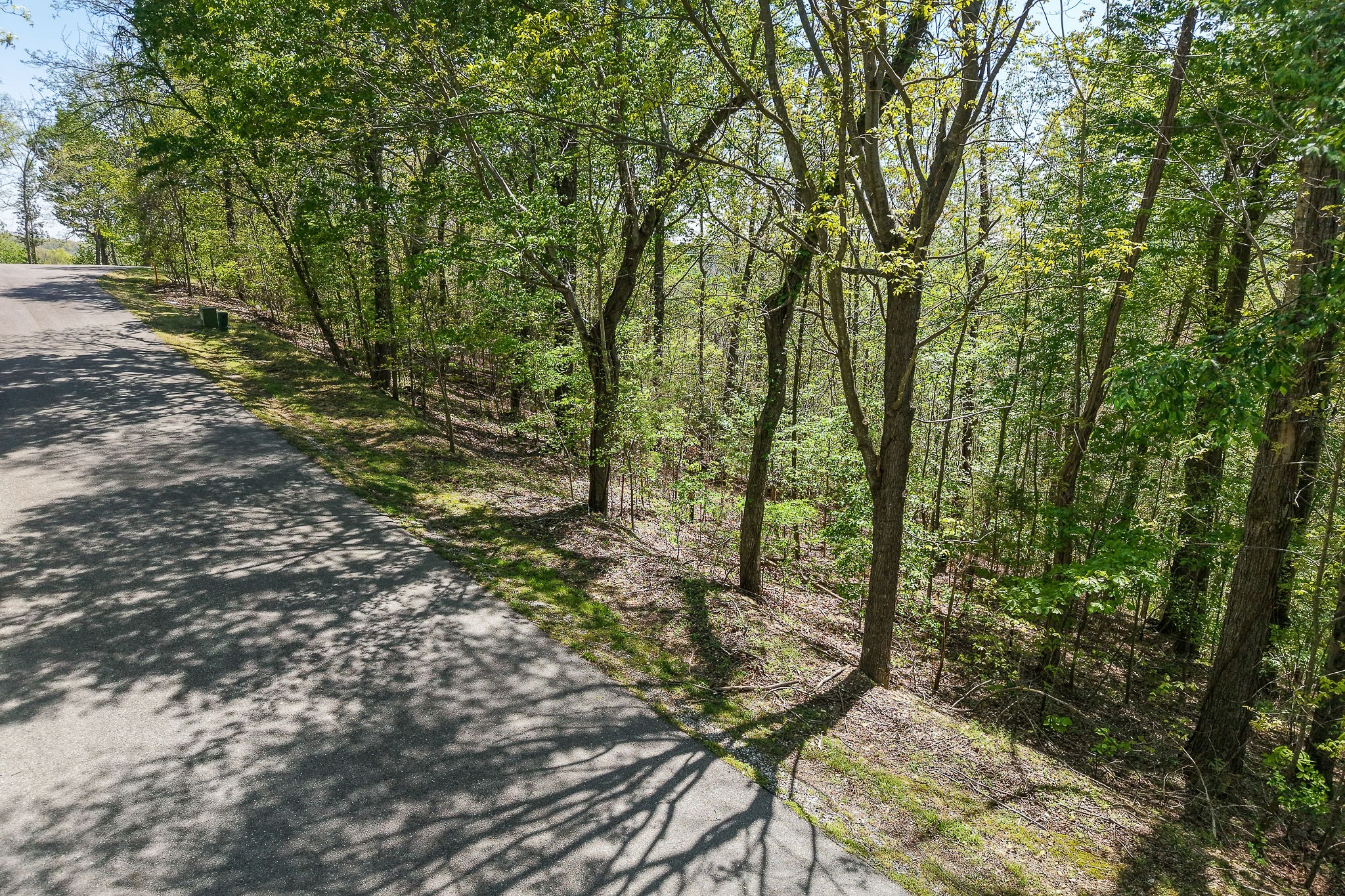 0 Coventry Way Smithville TN 37166