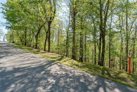 0 Coventry Way Smithville TN 37166