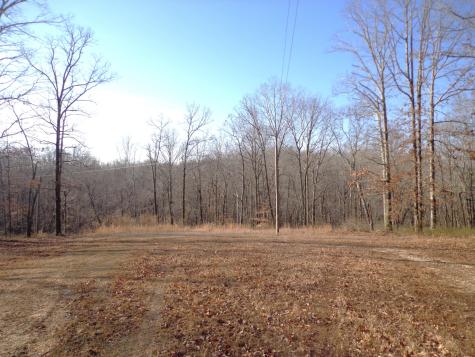 0 Deer Grass Lane Hurricane Mills TN 37078