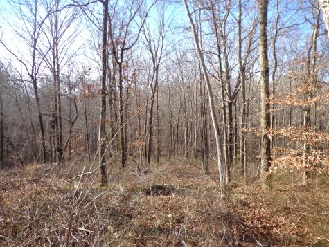 0 Deer Grass Lane Hurricane Mills TN 37078