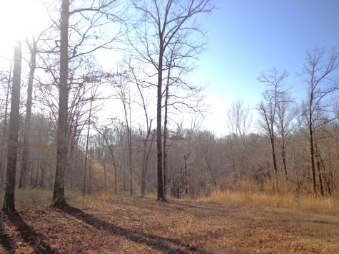 0 Deer Grass Lane Hurricane Mills TN 37078
