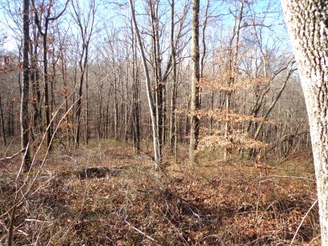 0 Deer Grass Lane Hurricane Mills TN 37078