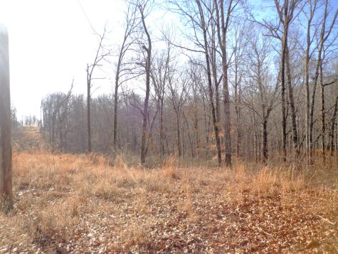 0 Deer Grass Lane Hurricane Mills TN 37078