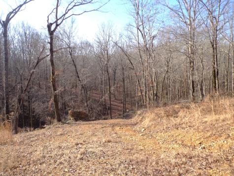 0 Deer Grass Lane Hurricane Mills TN 37078