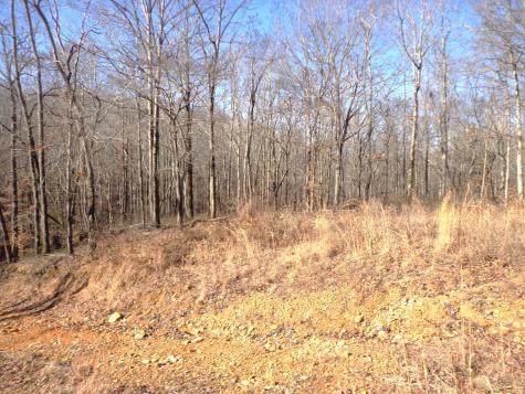 0 Deer Grass Lane Hurricane Mills TN 37078