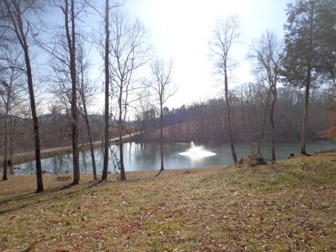 0 Deer Grass Lane Hurricane Mills TN 37078