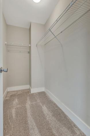 3001 Bellflower Circle Spring Hill TN 37174