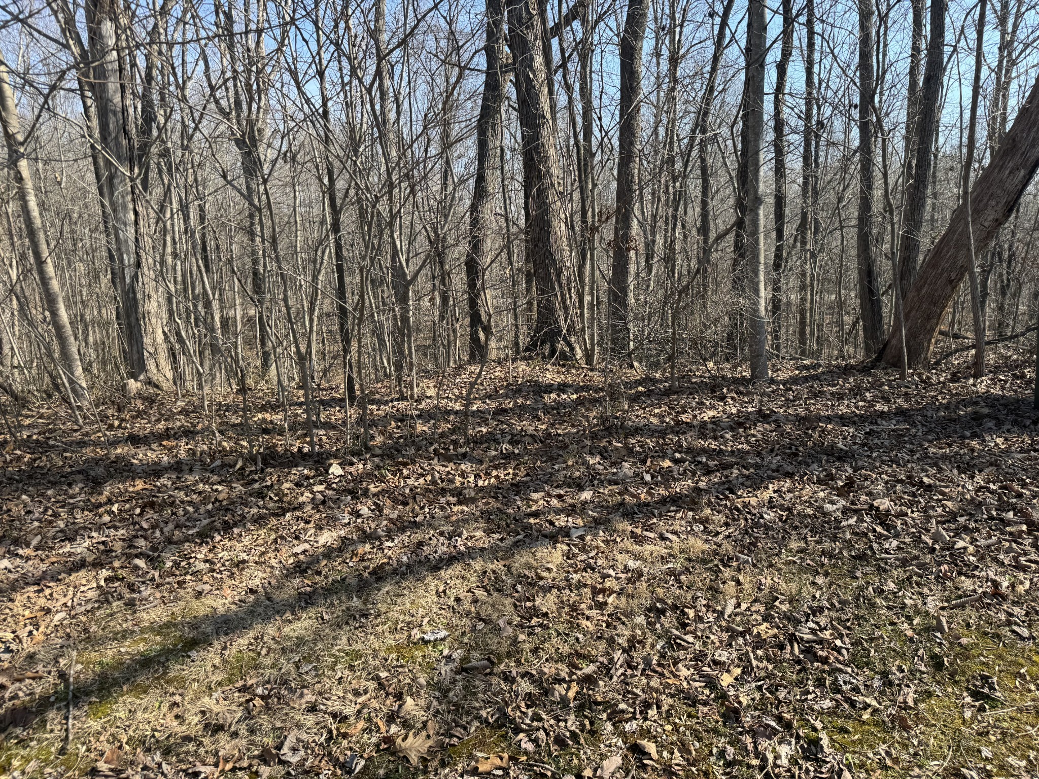 0 Tennis Court Center Smithville TN 37166