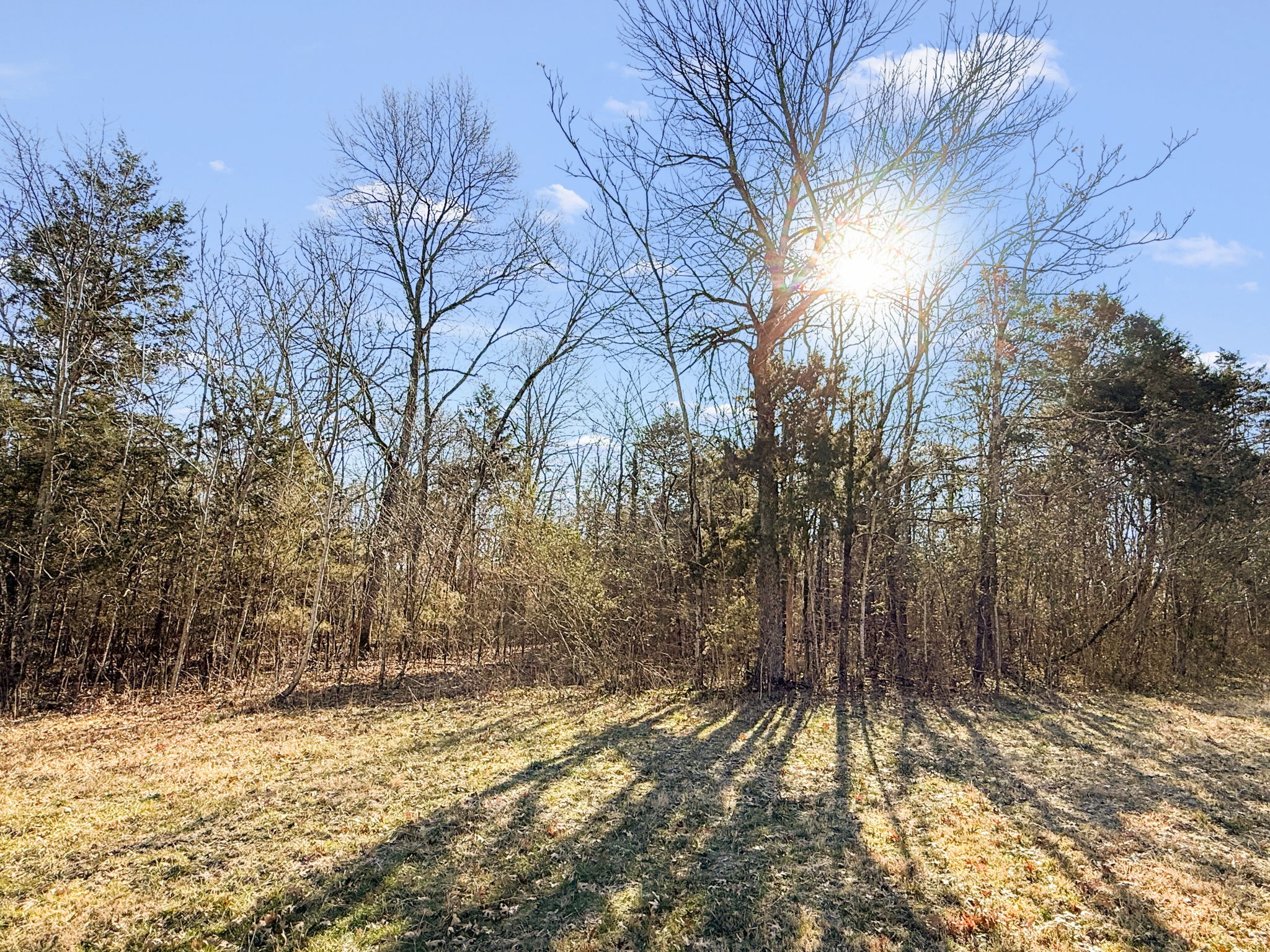 0 Warner Bridge Road Shelbyville TN 37160