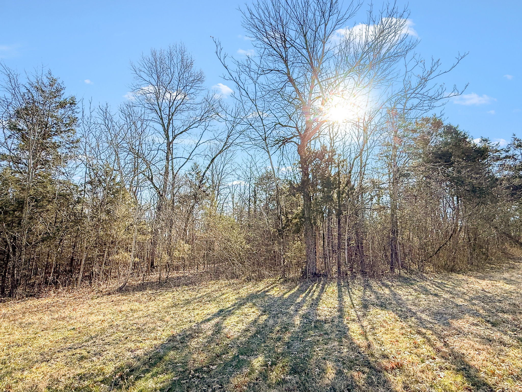 0 Warner Bridge Road Shelbyville TN 37160