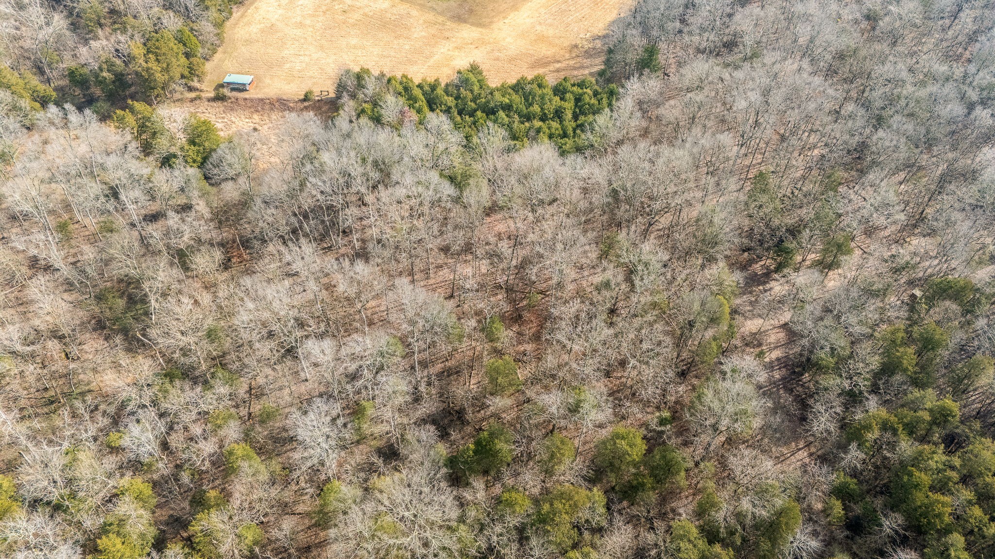 0 Warner Bridge Road Shelbyville TN 37160