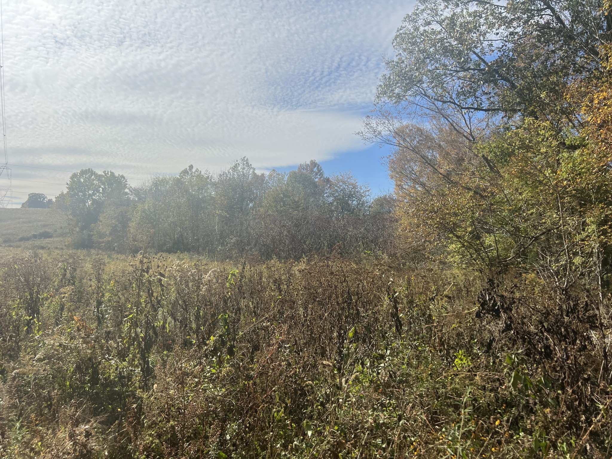 6 Clyde Webb Tennessee Ridge TN 37178