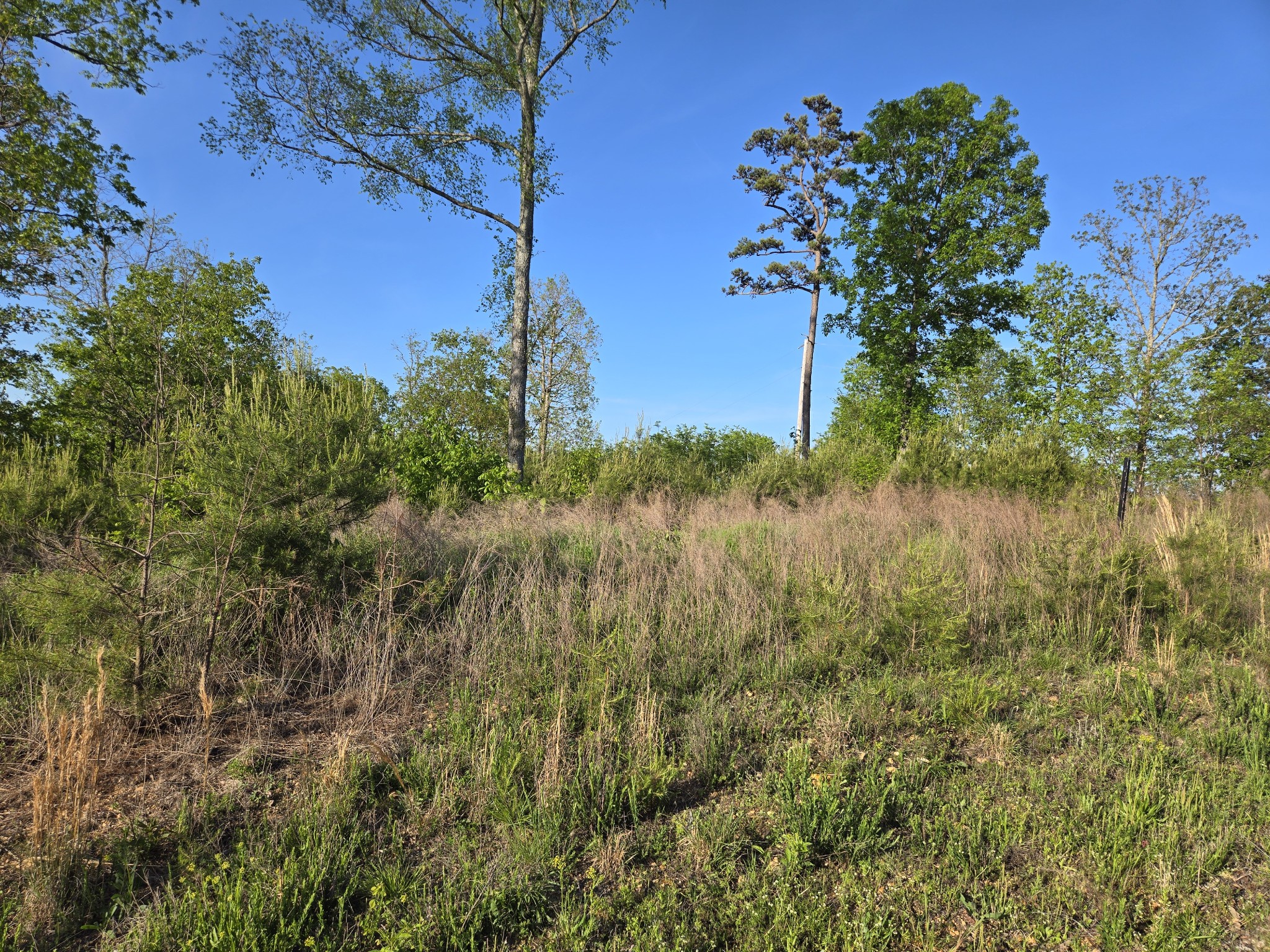 75 Egret Court Waverly TN 37185