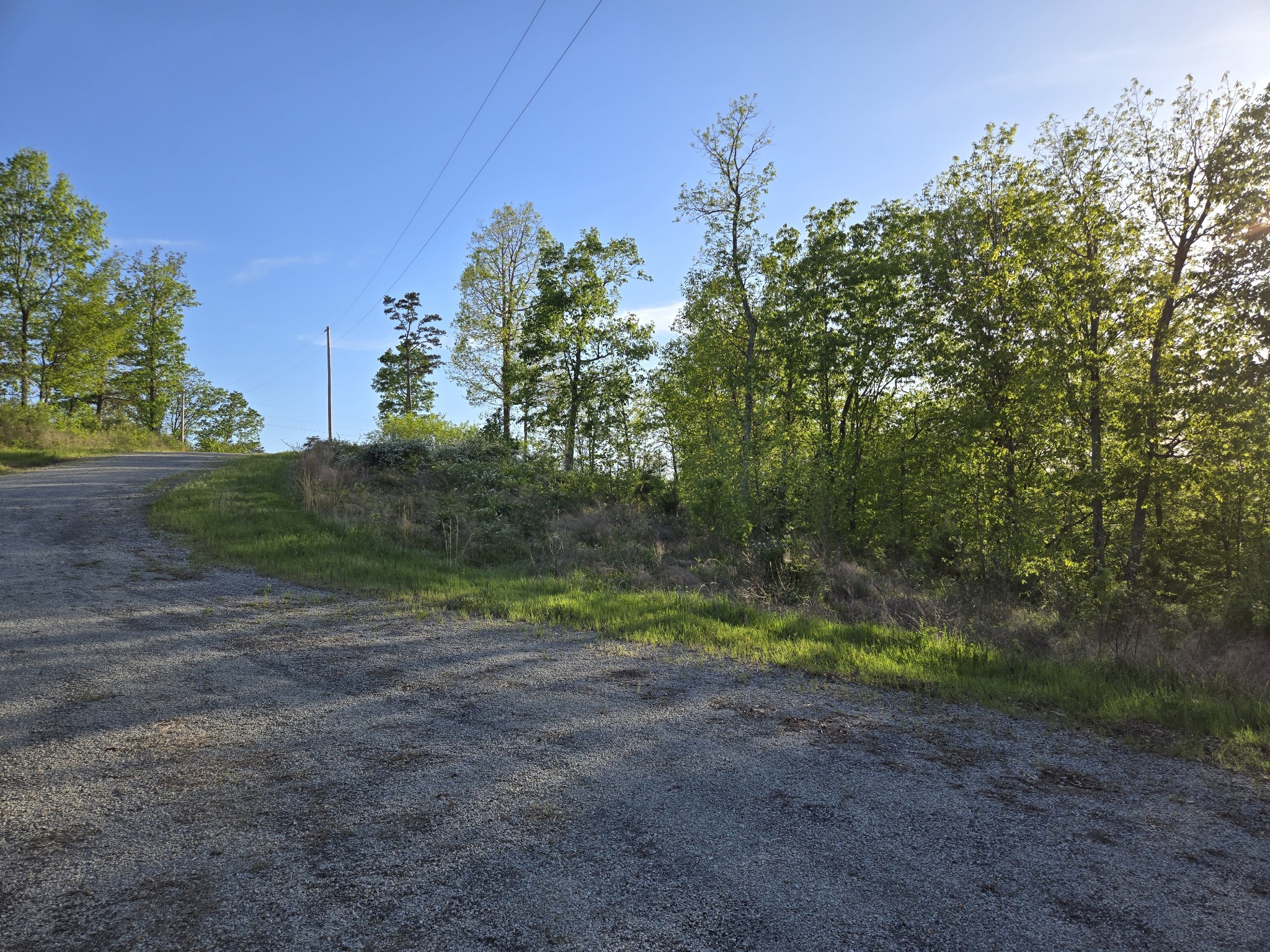75 Egret Court Waverly TN 37185