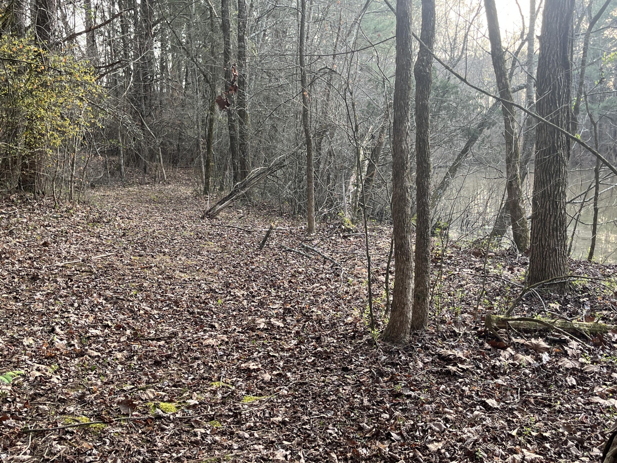 396 County Road 778 Athens TN 37303