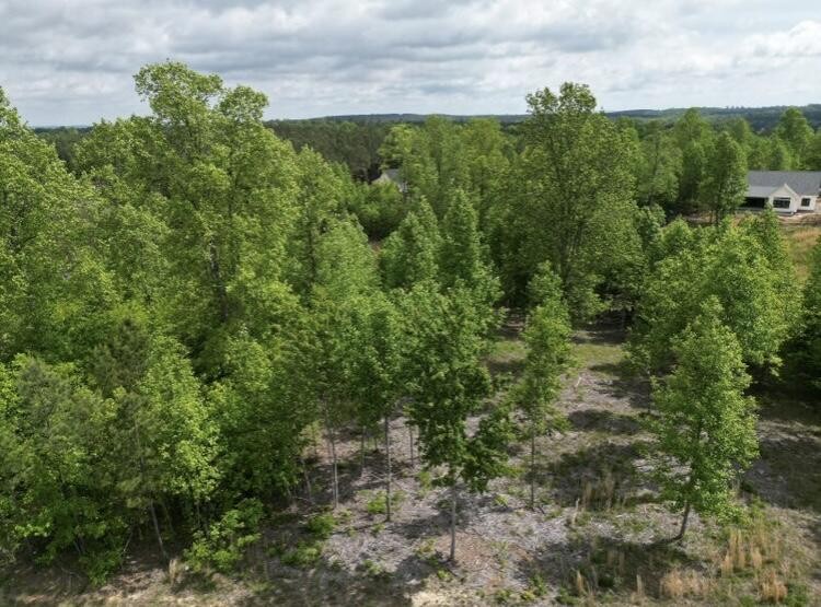 260 Cherokee Path Jasper TN 37347