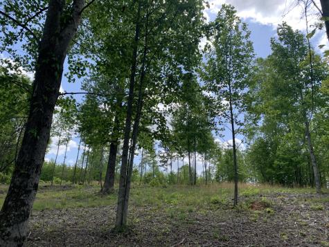 260 Cherokee Path Jasper TN 37347