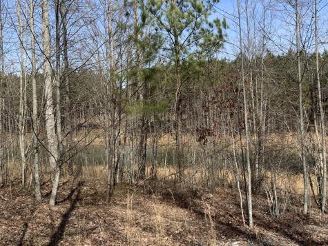 260 Cherokee Path Jasper TN 37347