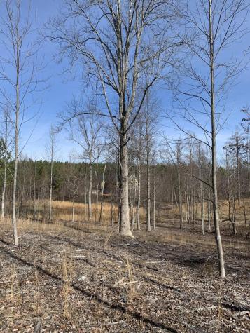 260 Cherokee Path Jasper TN 37347