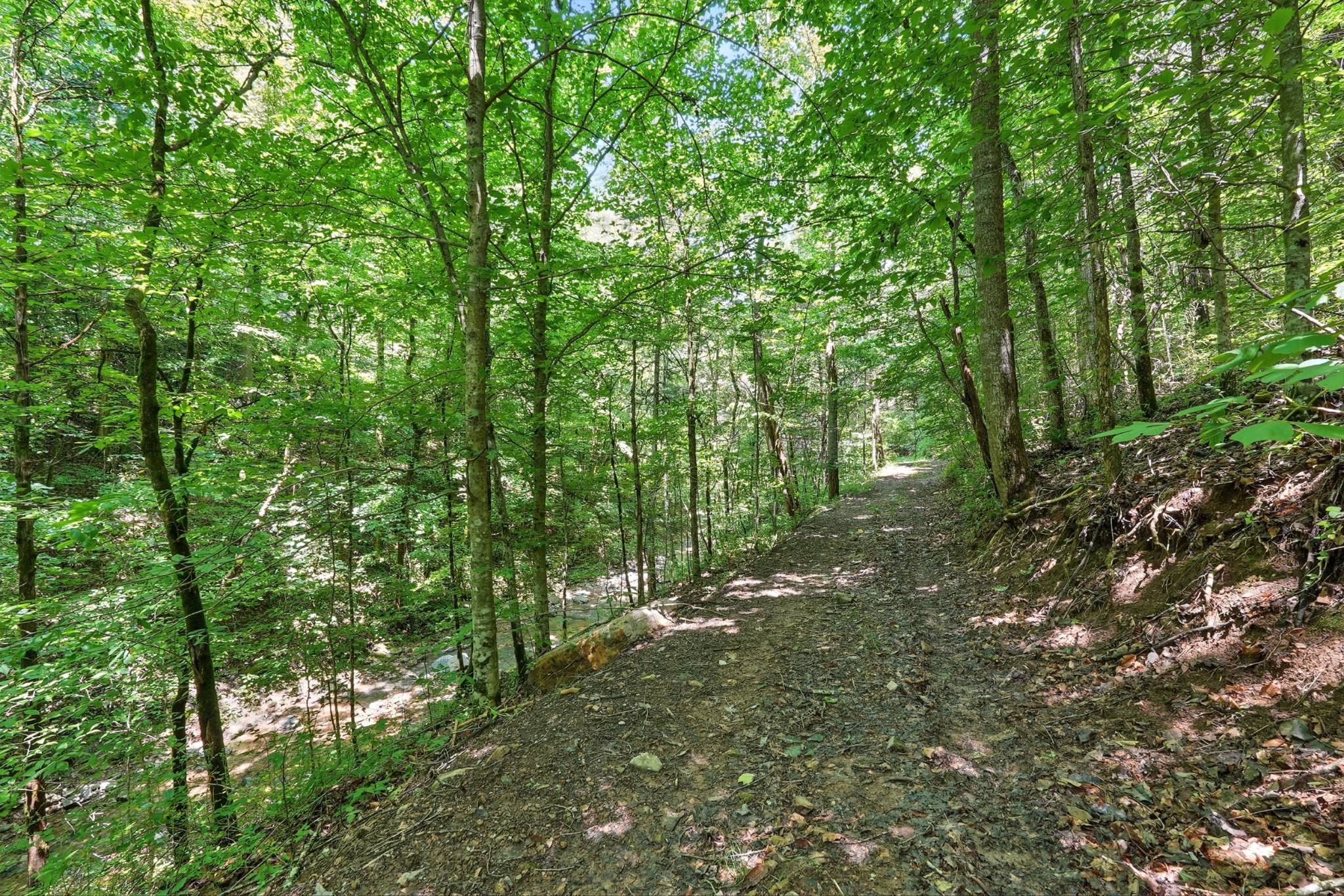 4006 Stones River Road Woodbury TN 37190