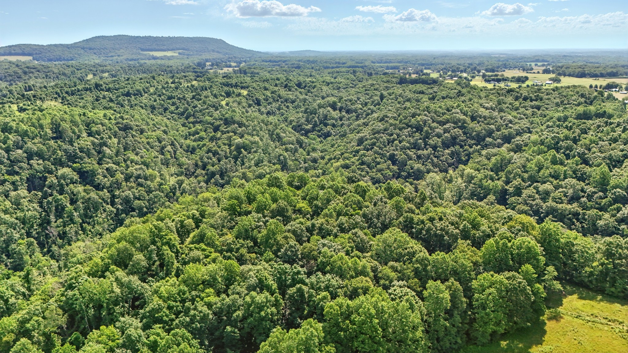 4006 Stones River Road Woodbury TN 37190