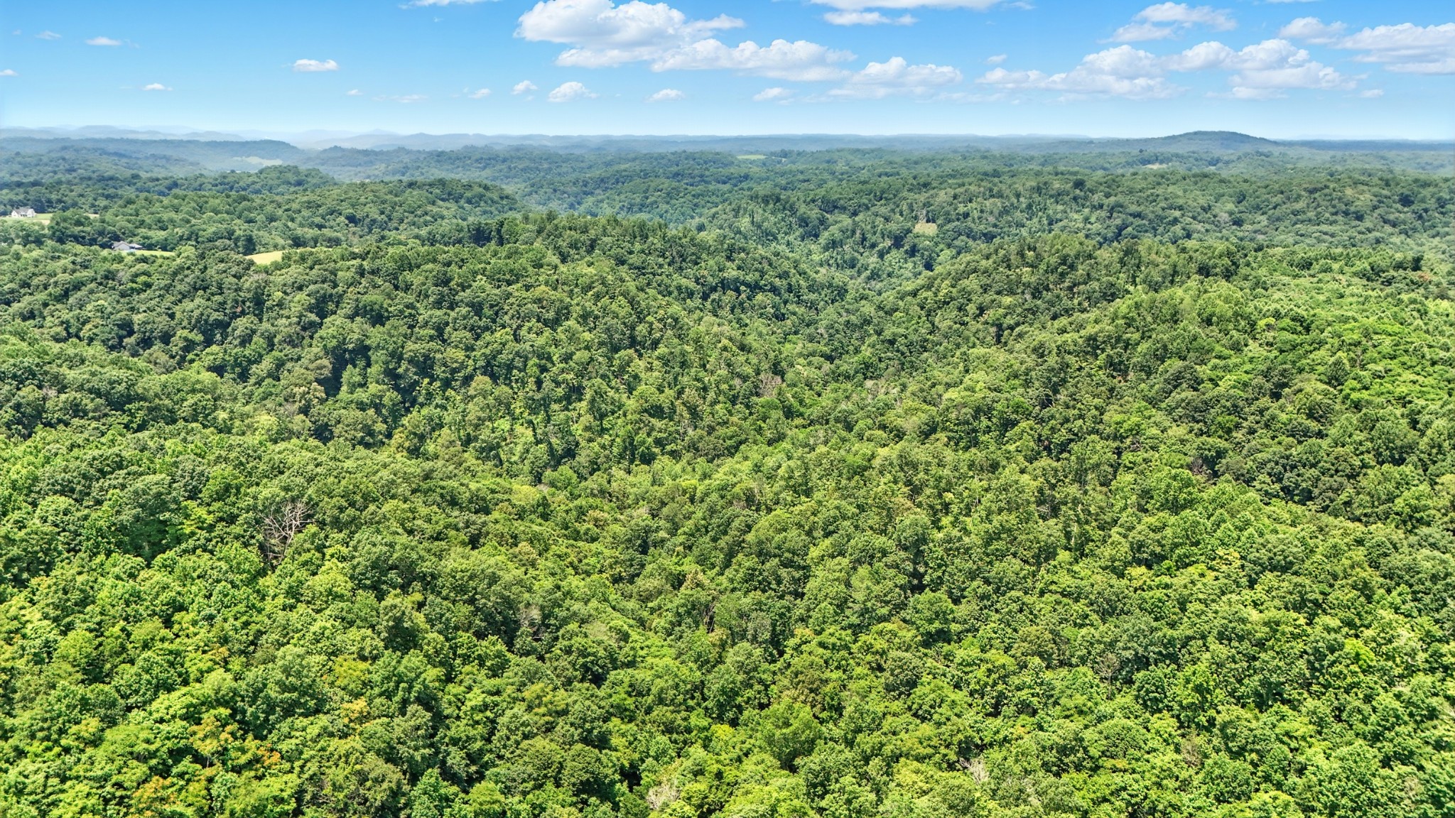 4006 Stones River Road Woodbury TN 37190