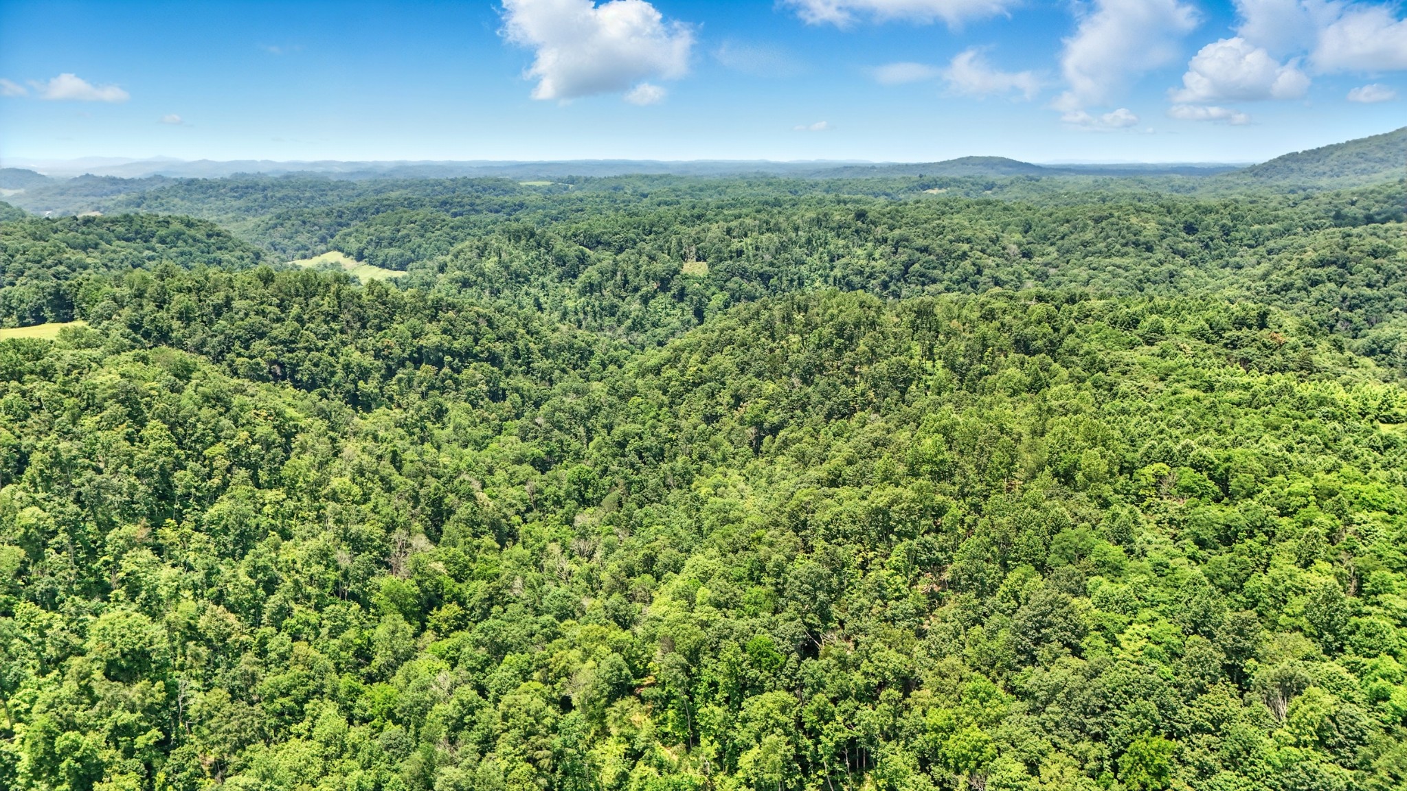 4006 Stones River Road Woodbury TN 37190