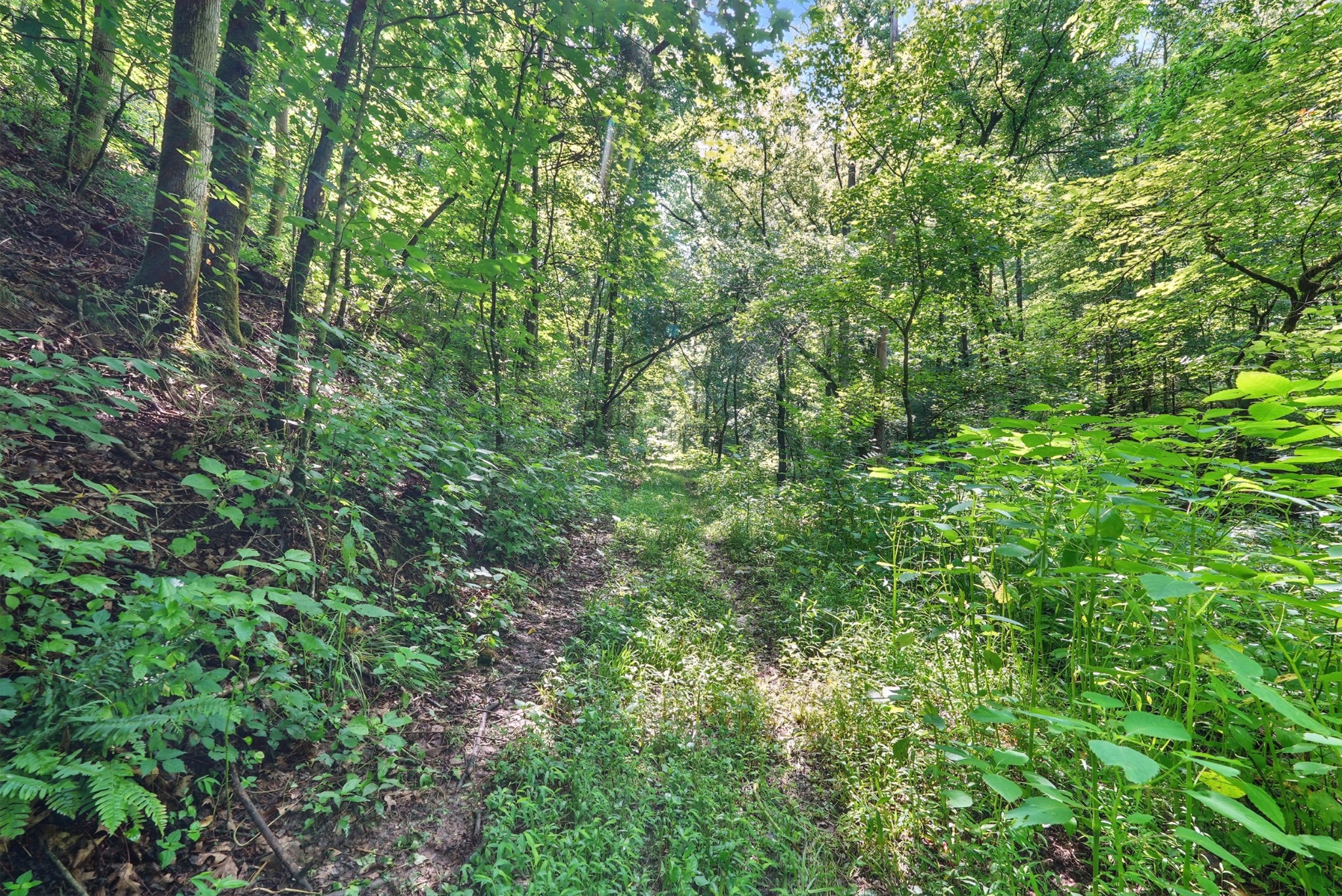 4006 Stones River Road Woodbury TN 37190