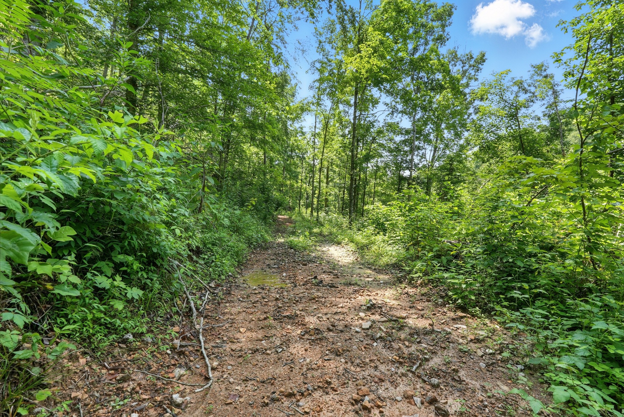 4006 Stones River Road Woodbury TN 37190