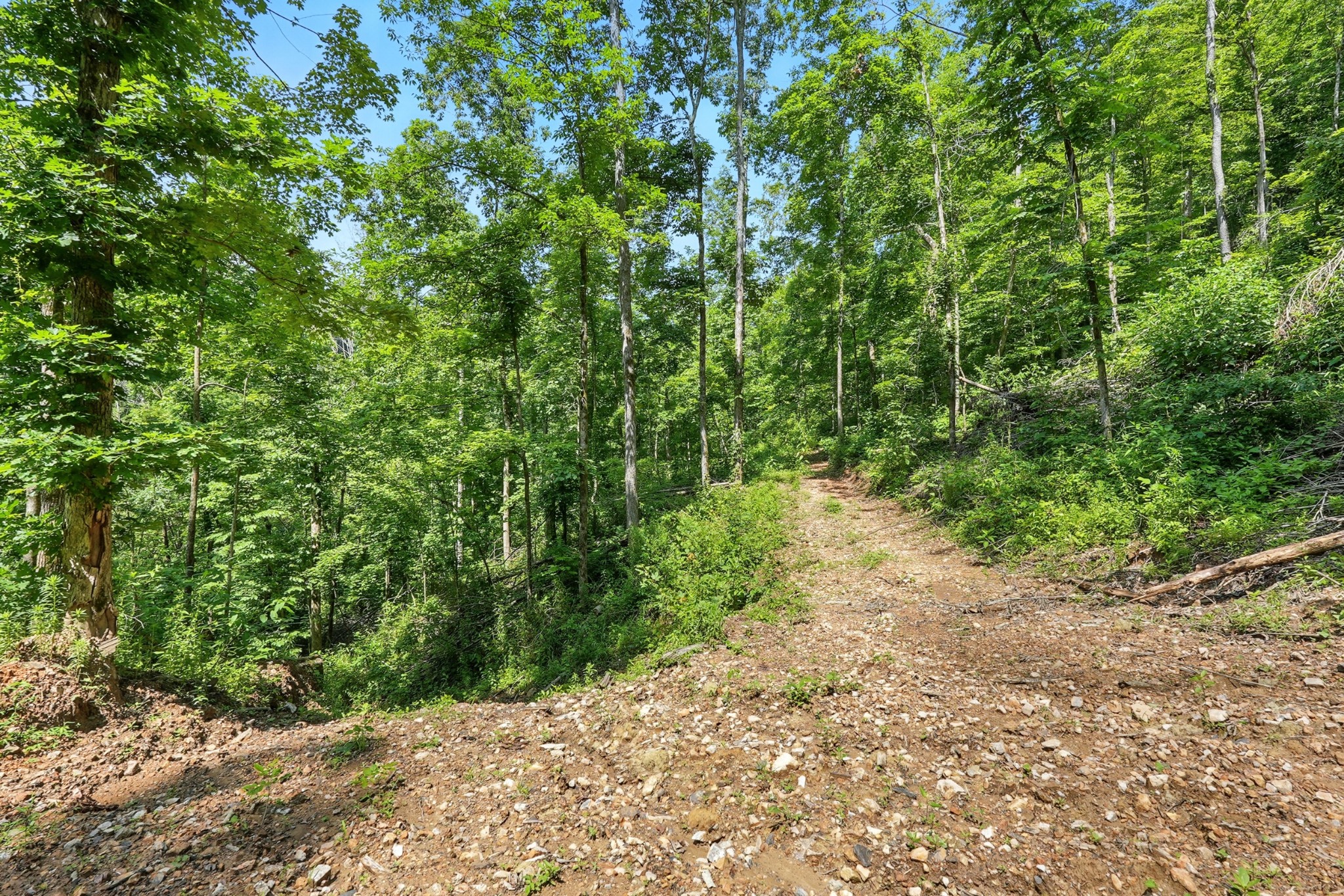 4006 Stones River Road Woodbury TN 37190