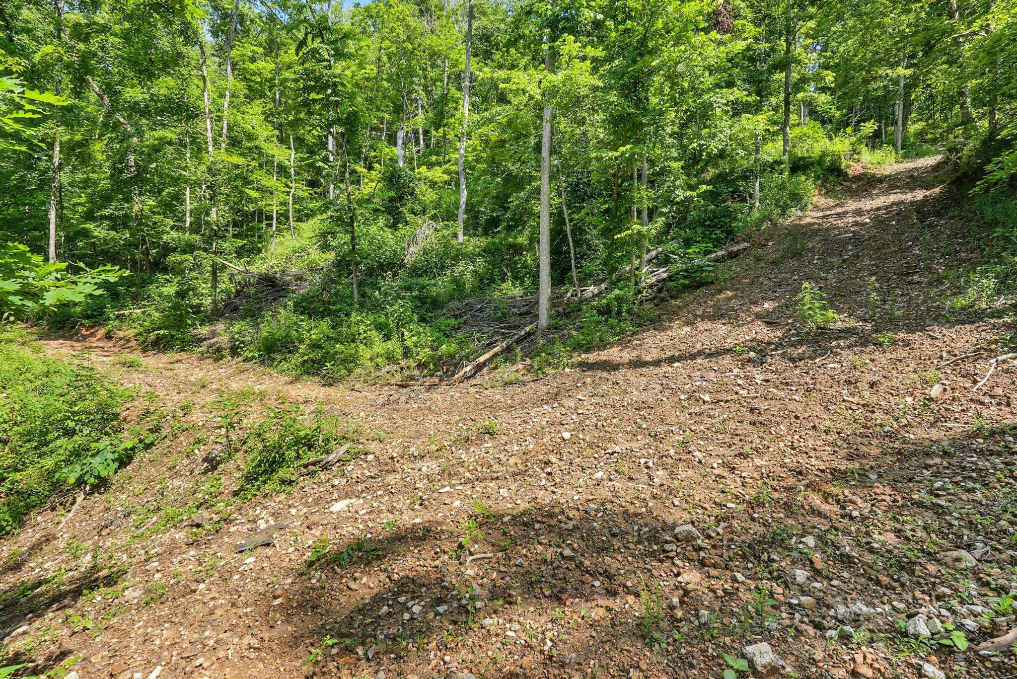 4006 Stones River Road Woodbury TN 37190
