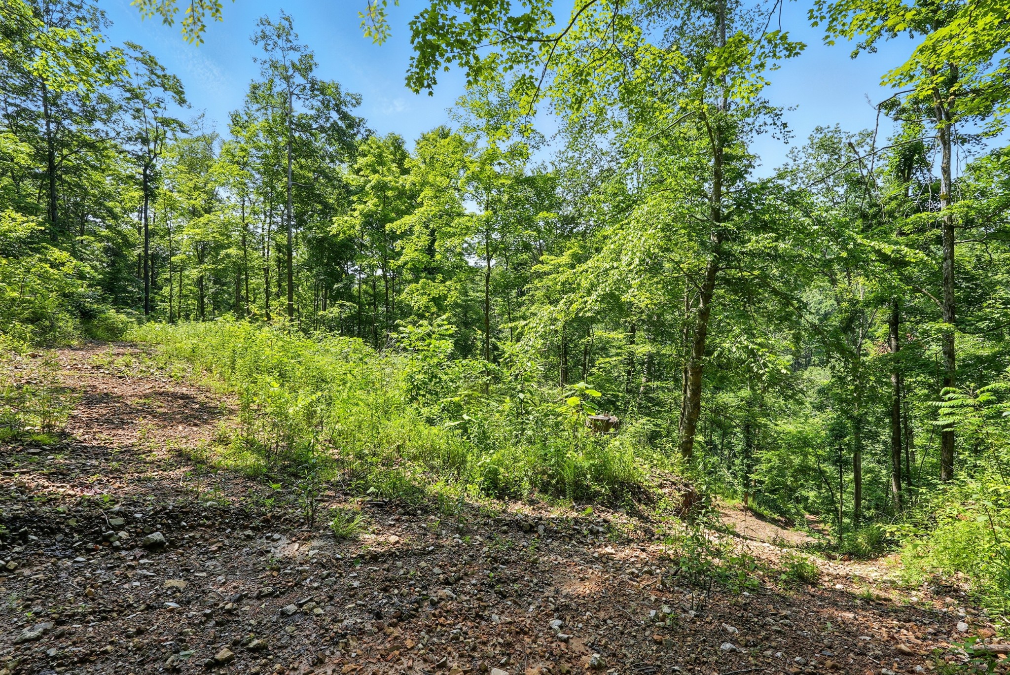 4006 Stones River Road Woodbury TN 37190