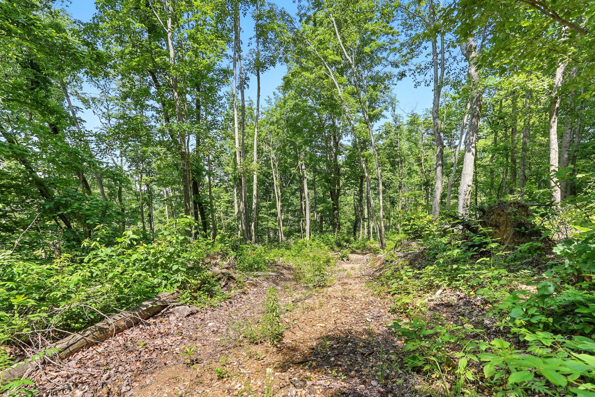 4006 Stones River Road Woodbury TN 37190