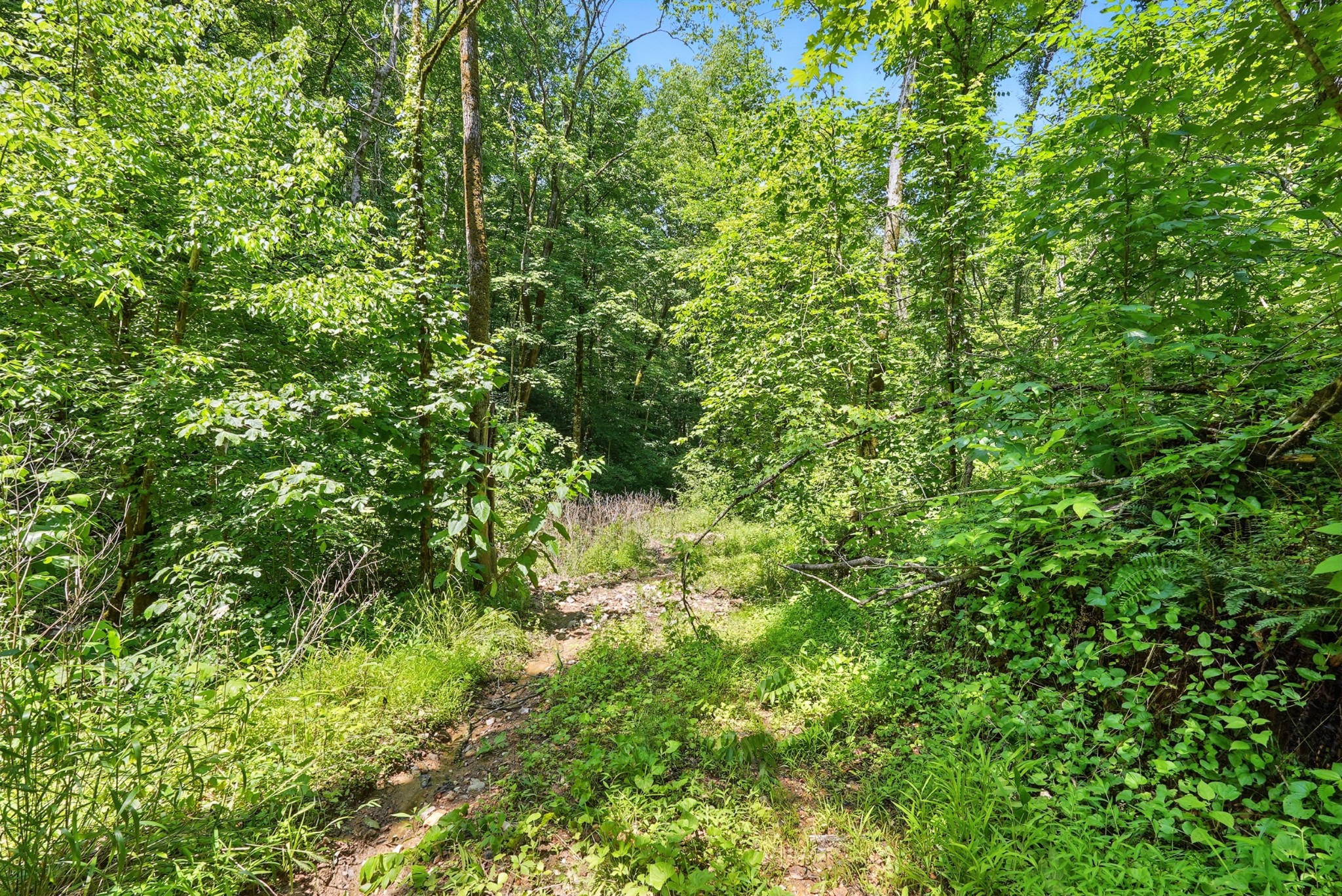 4006 Stones River Road Woodbury TN 37190