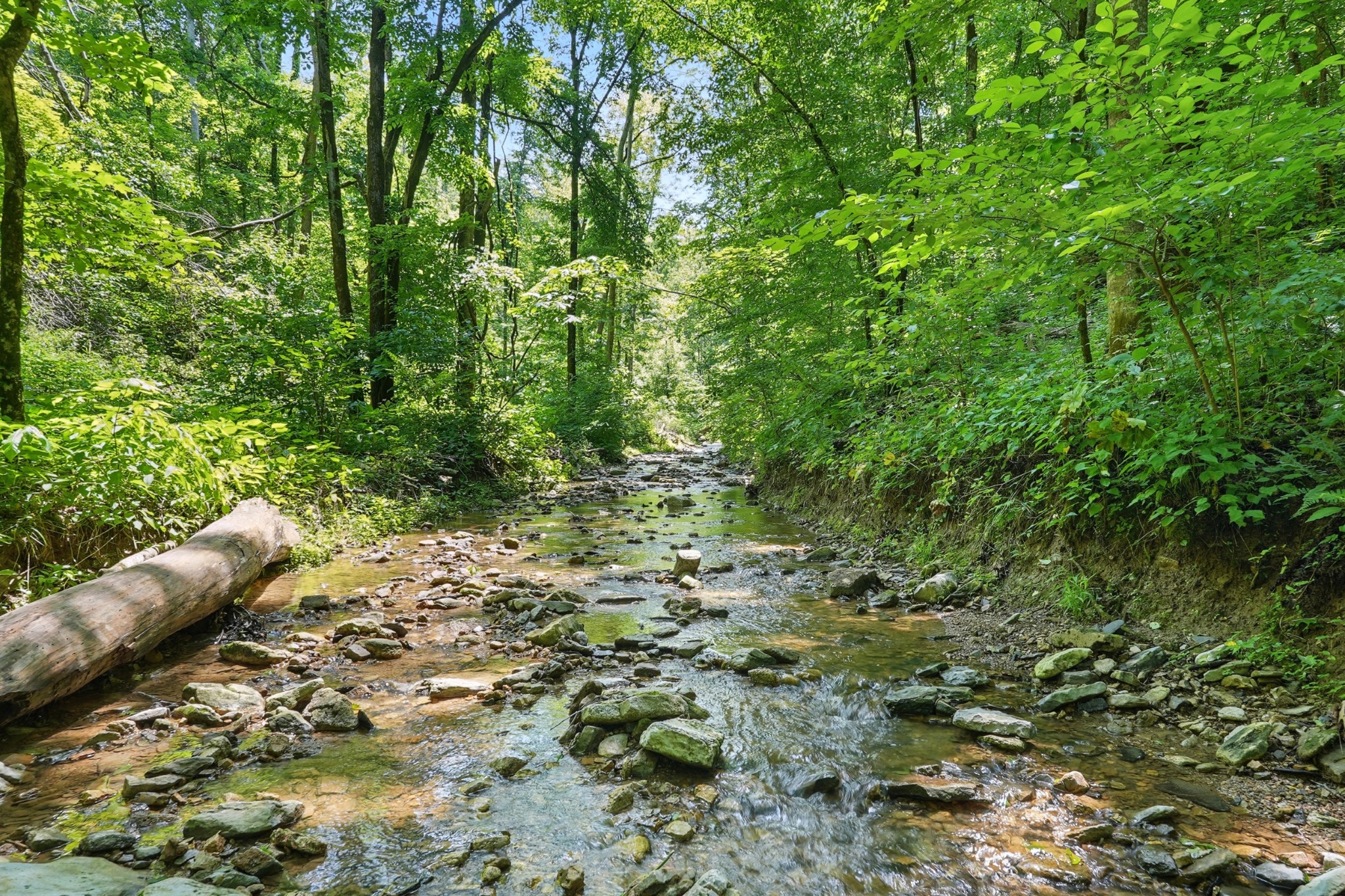 4006 Stones River Road Woodbury TN 37190