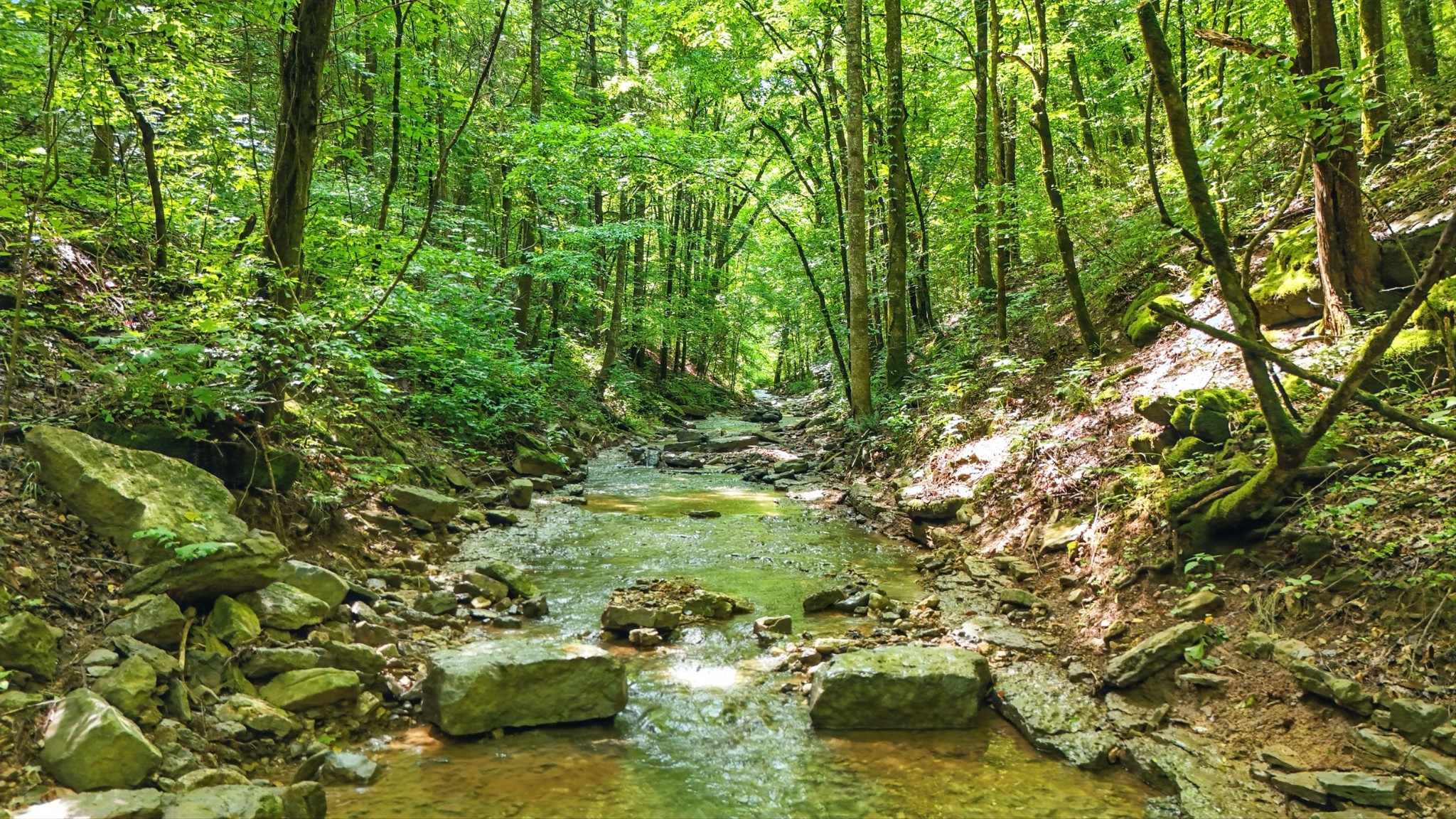 4006 Stones River Road Woodbury TN 37190