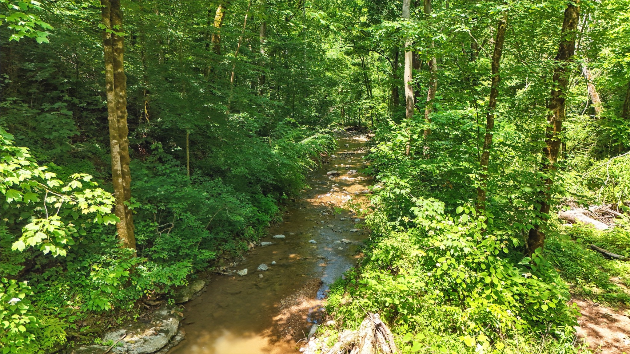 4006 Stones River Road Woodbury TN 37190