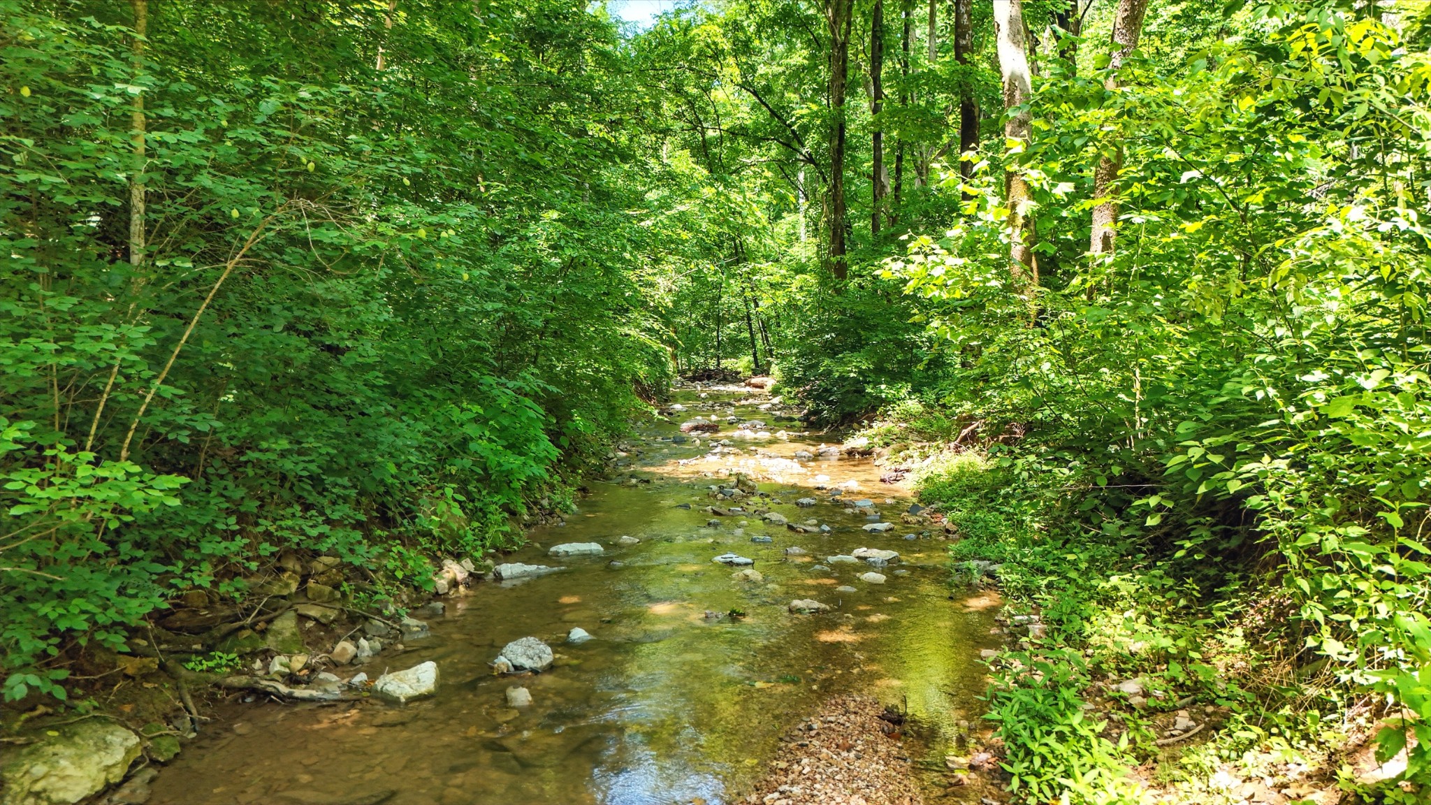 4006 Stones River Road Woodbury TN 37190