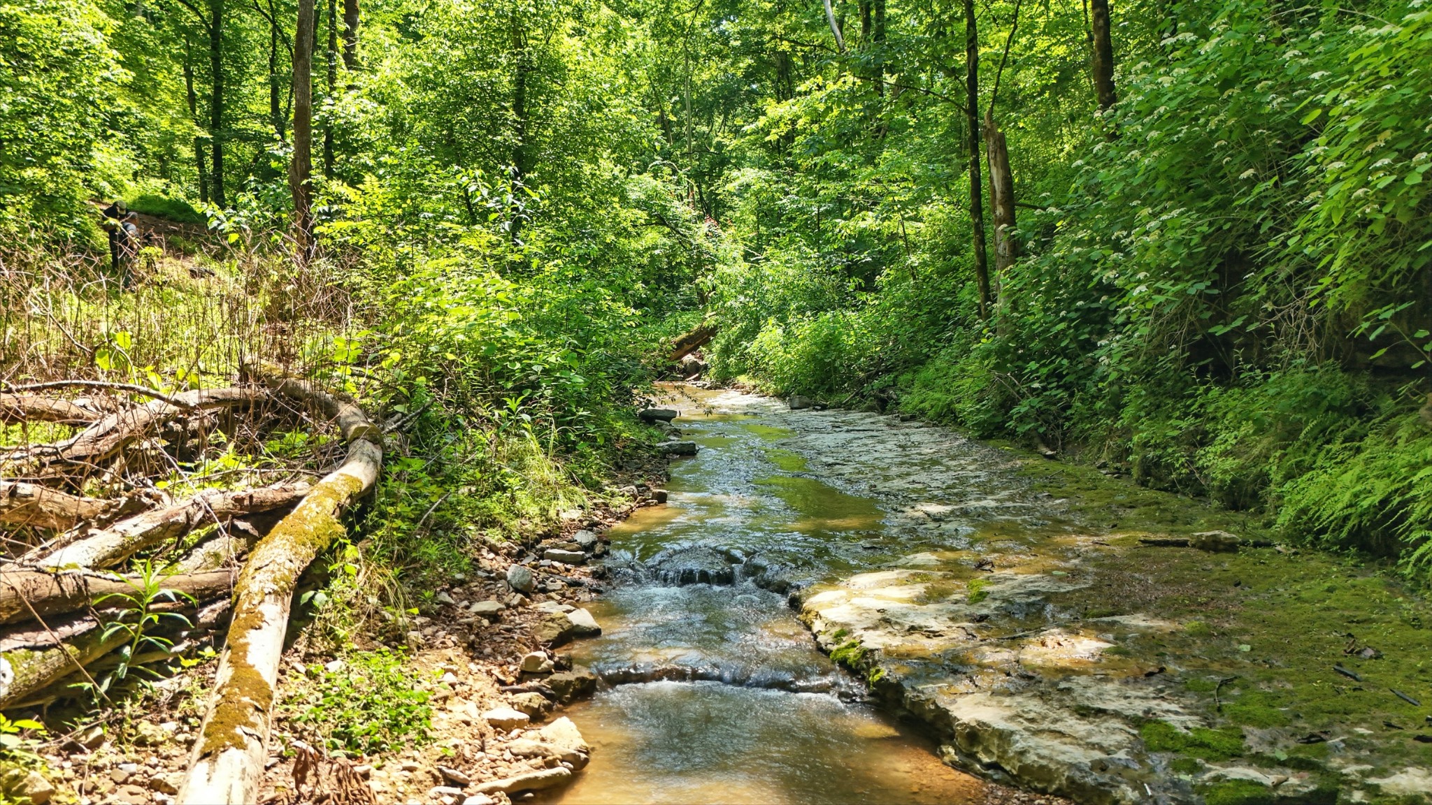 4006 Stones River Road Woodbury TN 37190