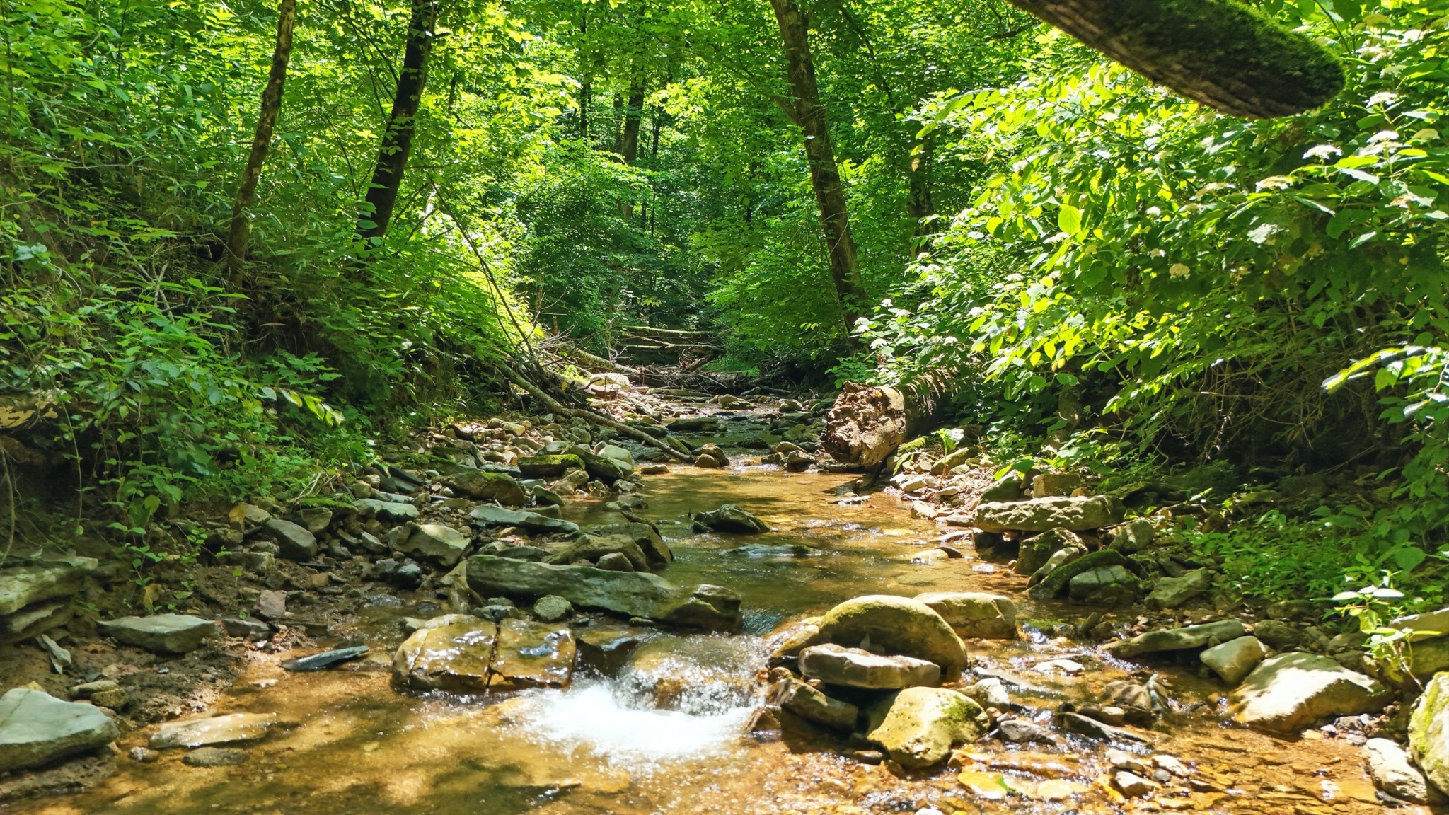 4006 Stones River Road Woodbury TN 37190
