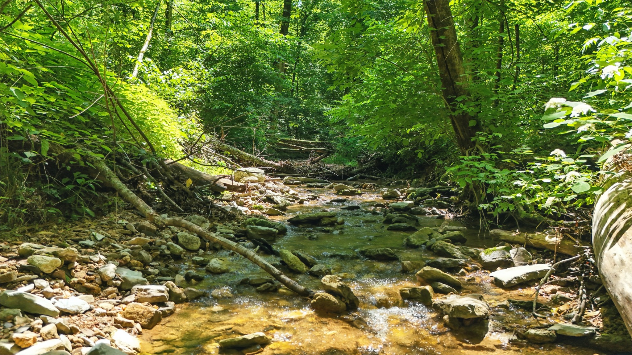 4006 Stones River Road Woodbury TN 37190