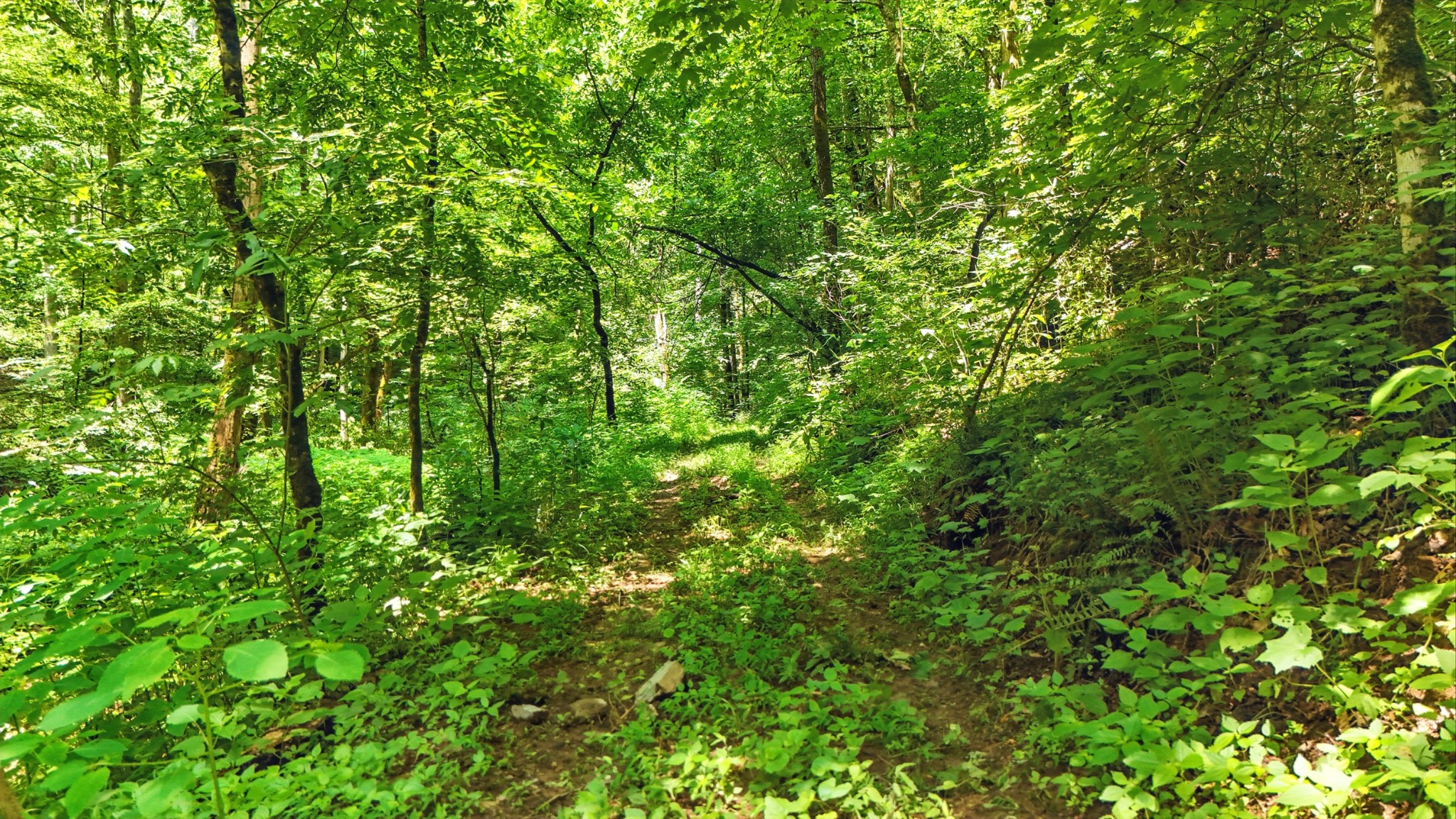 4006 Stones River Road Woodbury TN 37190